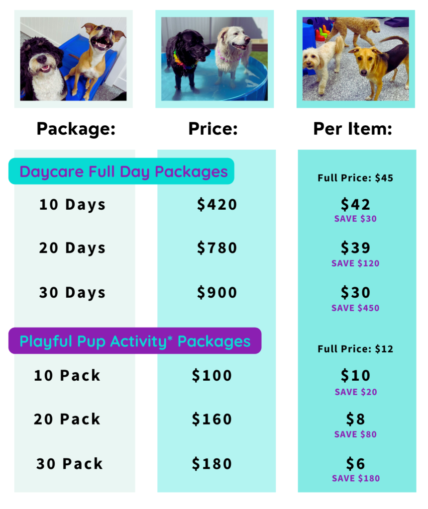 Dog Daycare Pawparazzi